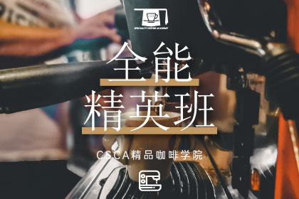 北京CSCA咖啡學院培訓全能精英班