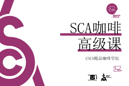 北京CSCA精品咖啡師培訓高級班 