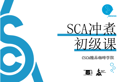 北京CSCA精品咖啡SCA沖煮培訓(xùn)初級班 